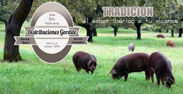 La montanera en distribuciones gordito